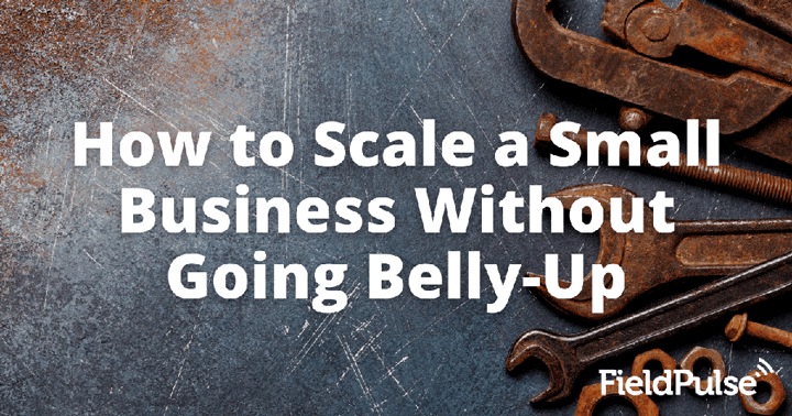 How to Scale a Small Business Without Going Belly-Up